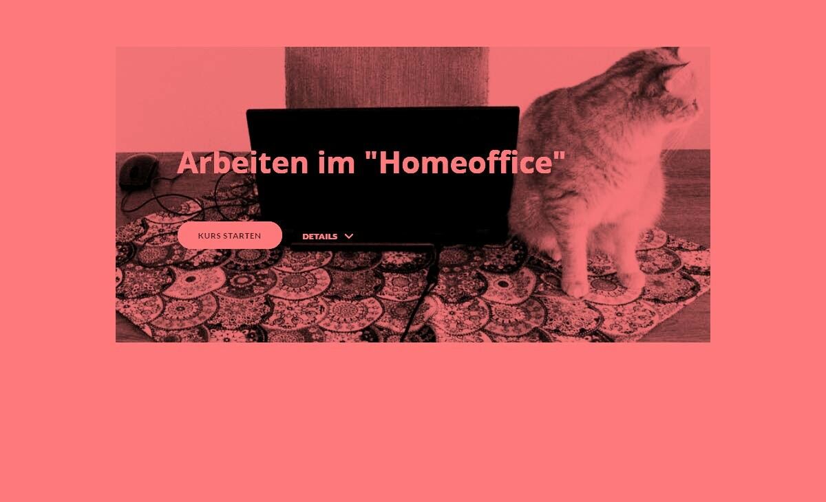 Arbeitssicherheit im Homeoffice