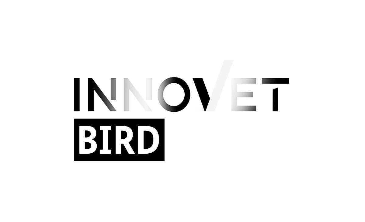 Die Qualitus GmbH ist Teil des neuen BIRD-Projekts